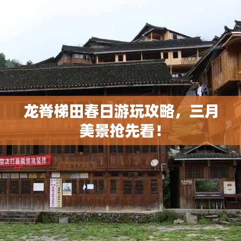 龍脊梯田春日游玩攻略，三月美景搶先看！