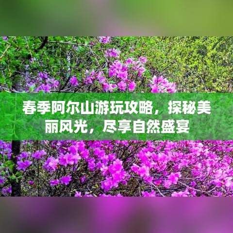 春季阿爾山游玩攻略，探秘美麗風光，盡享自然盛宴