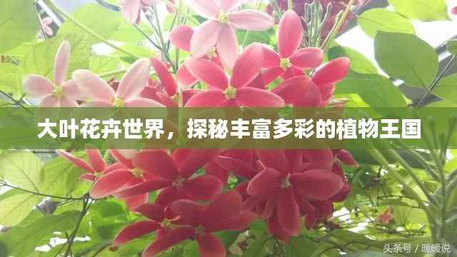 大葉花卉世界，探秘豐富多彩的植物王國