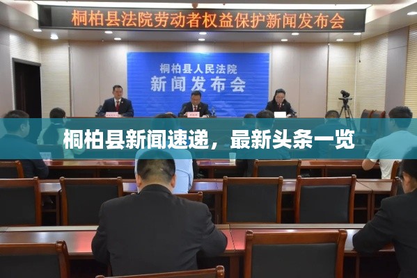 桐柏縣新聞速遞，最新頭條一覽
