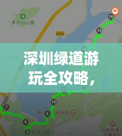深圳綠道游玩全攻略，最新路線指南