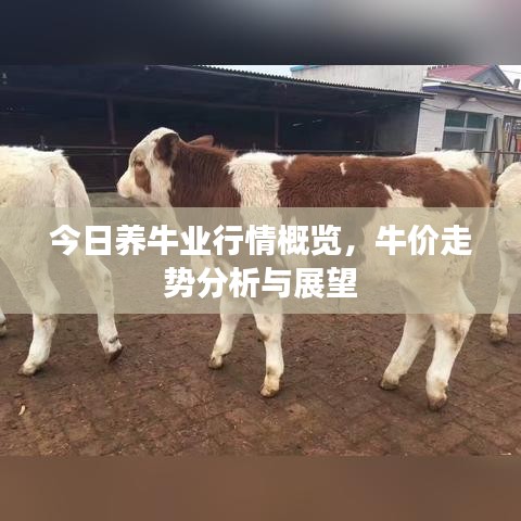 產品展示 第24頁