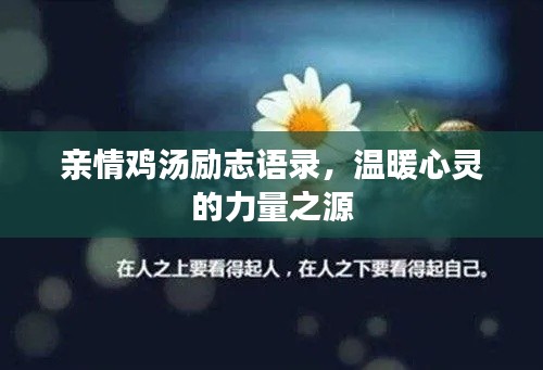 親情雞湯勵志語錄，溫暖心靈的力量之源