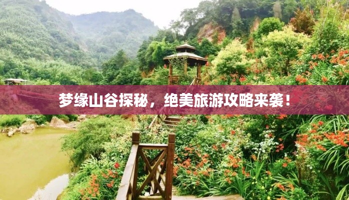 夢緣山谷探秘，絕美旅游攻略來襲！