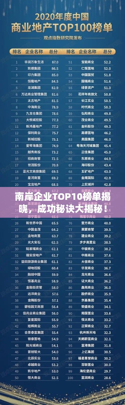 南岸企業TOP10榜單揭曉，成功秘訣大揭秘！