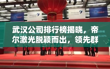 武漢公司排行榜揭曉，帝爾激光脫穎而出，領(lǐng)先群雄