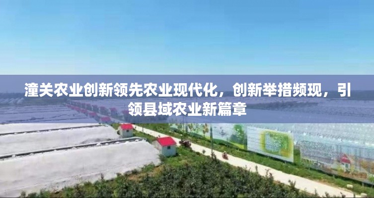 潼關農業(yè)創(chuàng)新領先農業(yè)現(xiàn)代化，創(chuàng)新舉措頻現(xiàn)，引領縣域農業(yè)新篇章