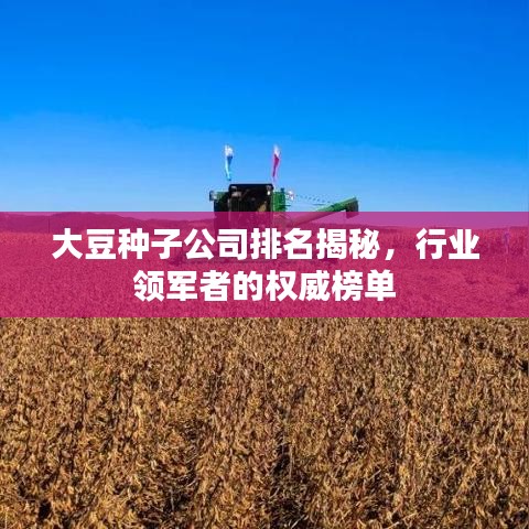 大豆種子公司排名揭秘，行業領軍者的權威榜單