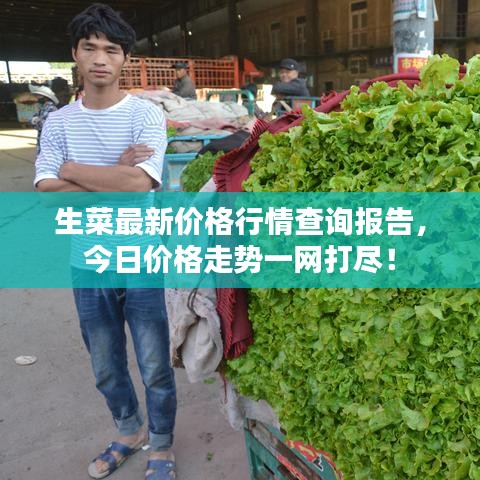生菜最新價格行情查詢報告，今日價格走勢一網(wǎng)打盡！