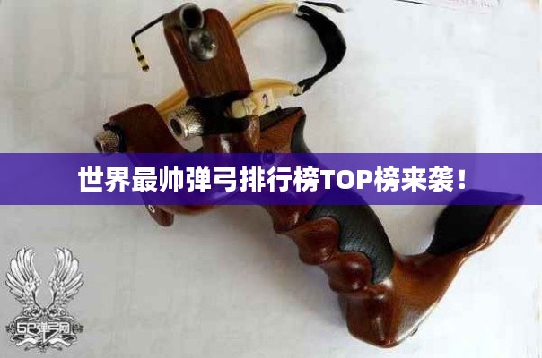 世界最帥彈弓排行榜TOP榜來襲！