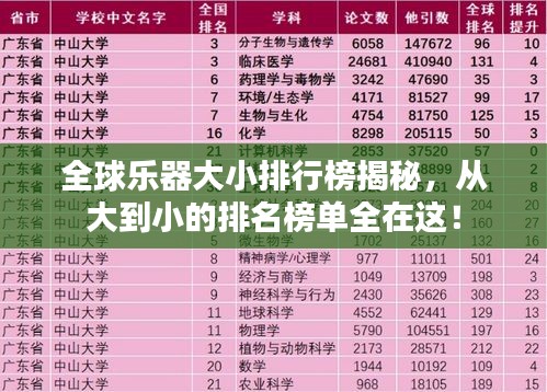 全球樂器大小排行榜揭秘，從大到小的排名榜單全在這！