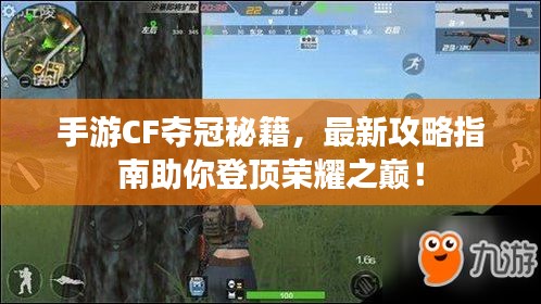 手游CF奪冠秘籍，最新攻略指南助你登頂榮耀之巔！