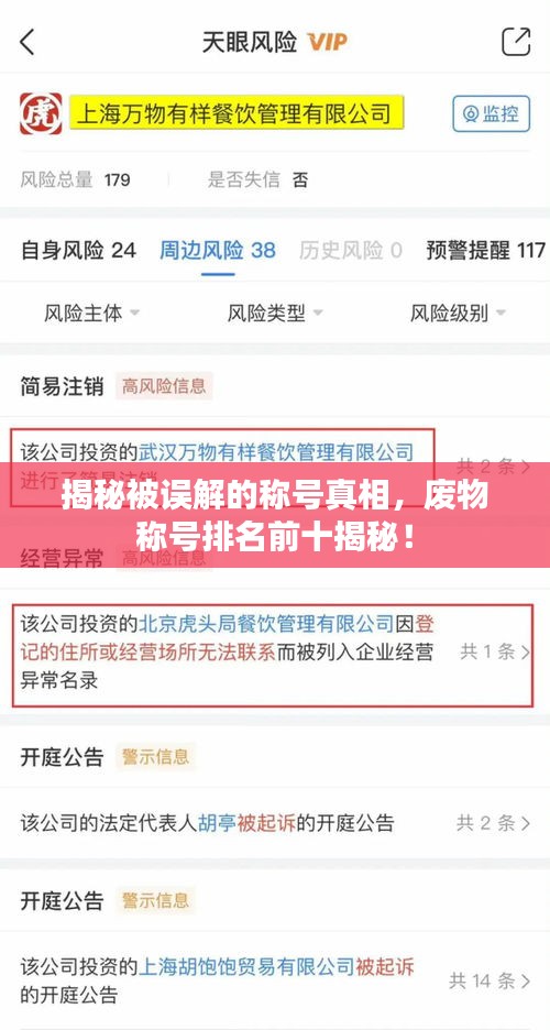 揭秘被誤解的稱號(hào)真相，廢物稱號(hào)排名前十揭秘！