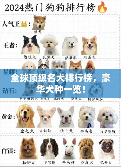 全球頂級名犬排行榜，豪華犬種一覽！