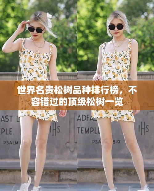 世界名貴松樹品種排行榜，不容錯過的頂級松樹一覽