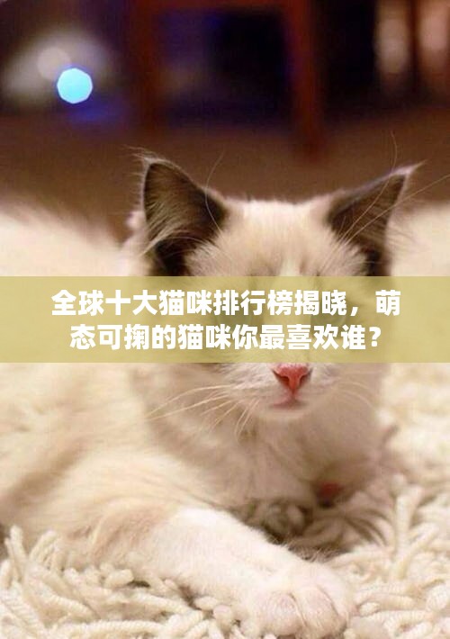 全球十大貓咪排行榜揭曉，萌態(tài)可掬的貓咪你最喜歡誰(shuí)？