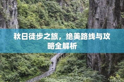 閉月羞花