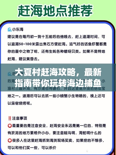 大夏村趕海攻略，最新指南帶你玩轉(zhuǎn)海邊捕魚！