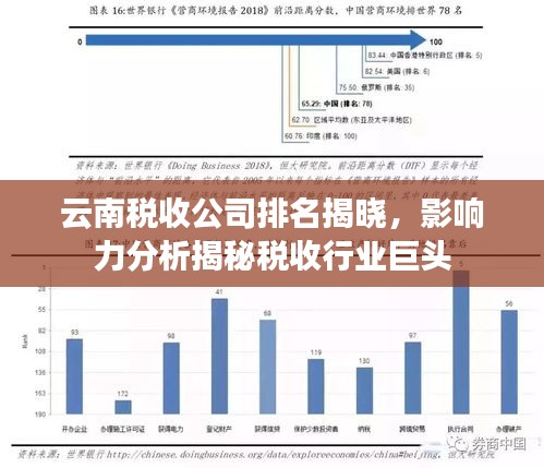 云南稅收公司排名揭曉，影響力分析揭秘稅收行業巨頭