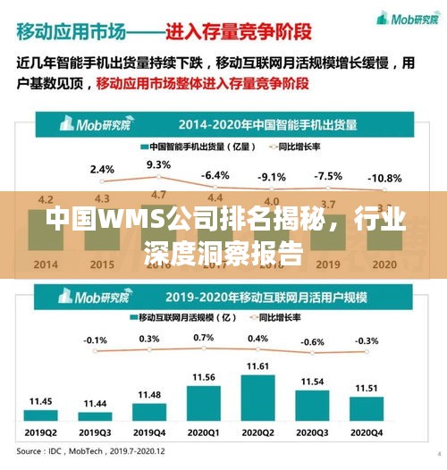 中國WMS公司排名揭秘，行業深度洞察報告