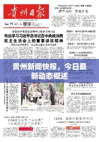 貴州新聞快報，今日最新動態概述