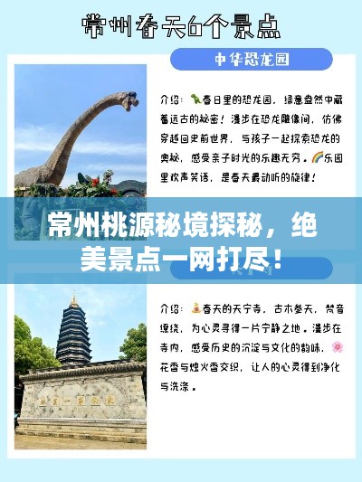 塵土飛揚