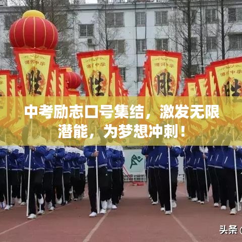 淡泊以明志，寧靜以致遠