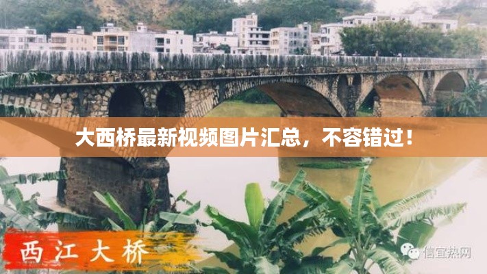 大西橋最新視頻圖片匯總，不容錯過！