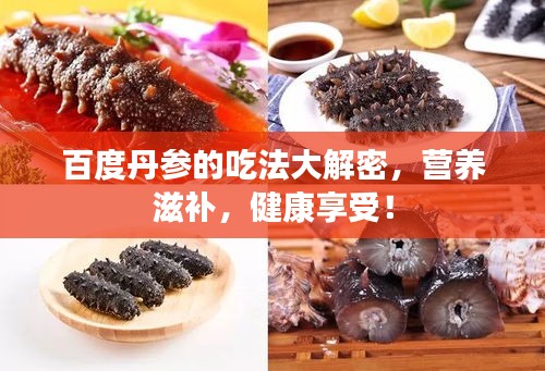 百度丹參的吃法大解密，營養滋補，健康享受！