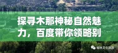囫圇吞棗
