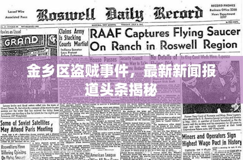 金鄉區盜賊事件，最新新聞報道頭條揭秘
