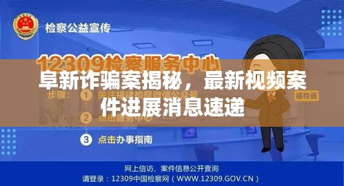 眉目如畫