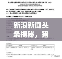 張飛穿針