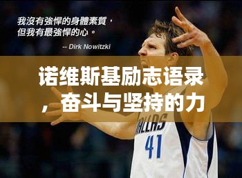 諾維斯基勵志語錄，奮斗與堅持的力量，激發無限潛能！