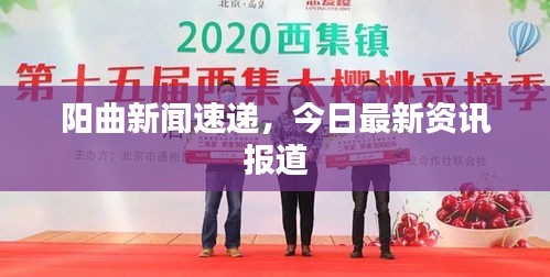 陽曲新聞速遞，今日最新資訊報道