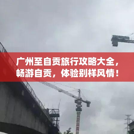 大事夸張