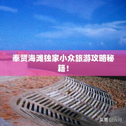鳶飛戾天