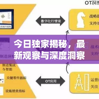 今日獨家揭秘，最新觀察與深度洞察的真相