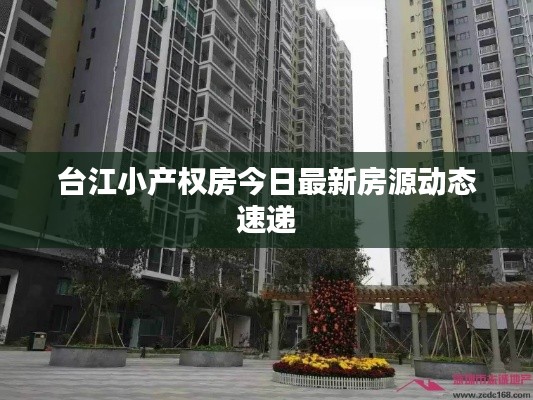 臺江小產權房今日最新房源動態速遞