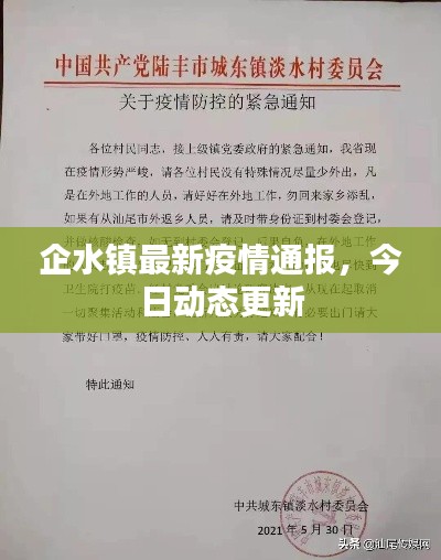 企水鎮最新疫情通報，今日動態更新