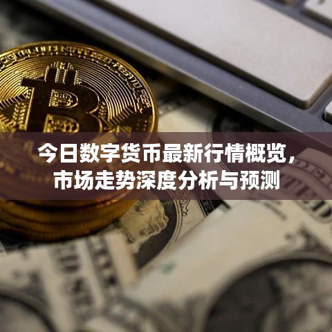 今日數(shù)字貨幣最新行情概覽，市場走勢深度分析與預測