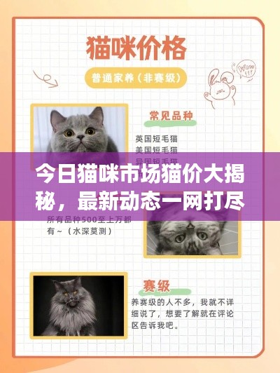小心翼翼