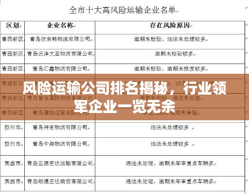 風險運輸公司排名揭秘，行業領軍企業一覽無余