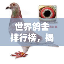 世界鴿舍排行榜，揭秘全球最大鴿舍TOP排名！