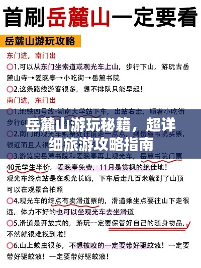 雍容華貴