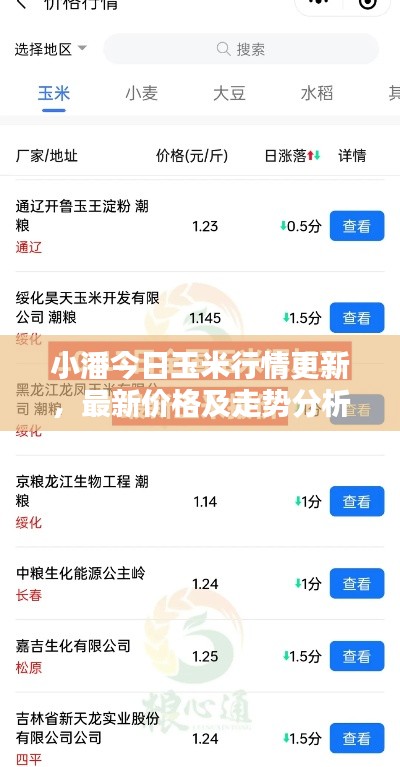 小潘今日玉米行情更新，最新價格及走勢分析