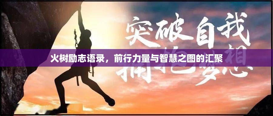 火樹勵志語錄，前行力量與智慧之圖的匯聚