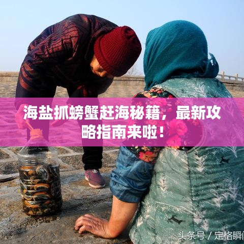 海鹽抓螃蟹趕海秘籍，最新攻略指南來啦！