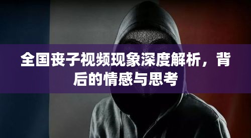 全國喪子視頻現象深度解析，背后的情感與思考