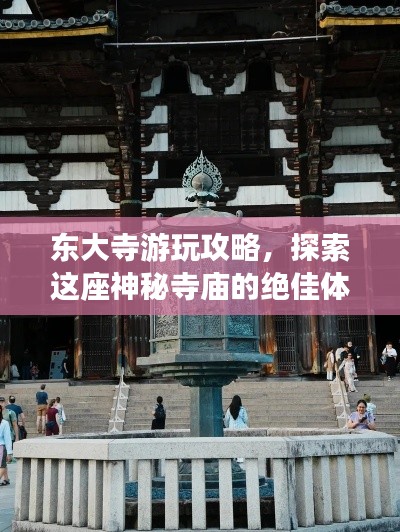東大寺游玩攻略，探索這座神秘寺廟的絕佳體驗！